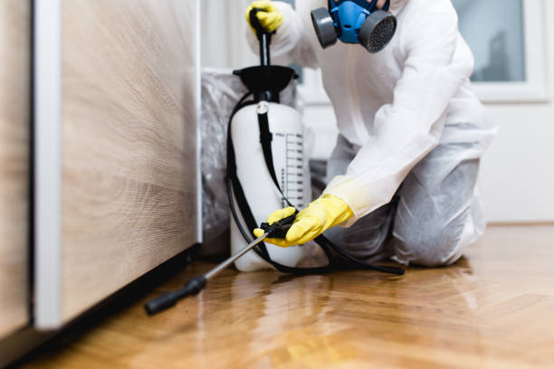 Best Mosquito Control Services  in Lexington Hills, CA