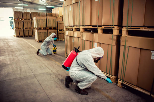 Best Affordable Pest Control Services  in Lexington Hills, CA