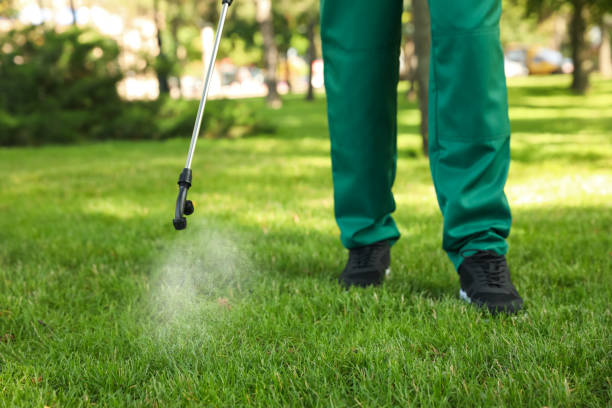 Best Best Pest Control Companies  in Lexington Hills, CA