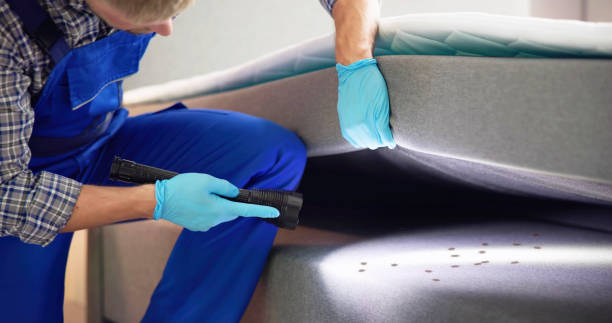Best Pest Control Near Me  in Lexington Hills, CA