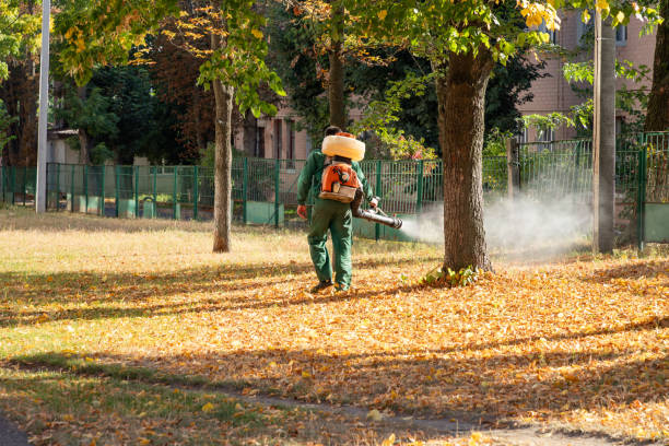 Best Wasp Removal Services  in Lexington Hills, CA