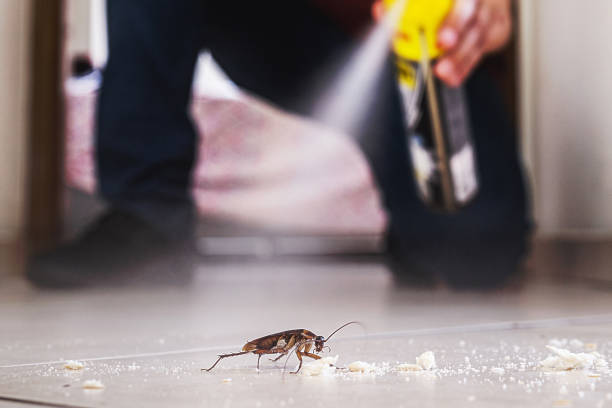 Best Best Pest Control Near Me  in Lexington Hills, CA