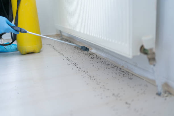 Best Pest Prevention Services  in Lexington Hills, CA