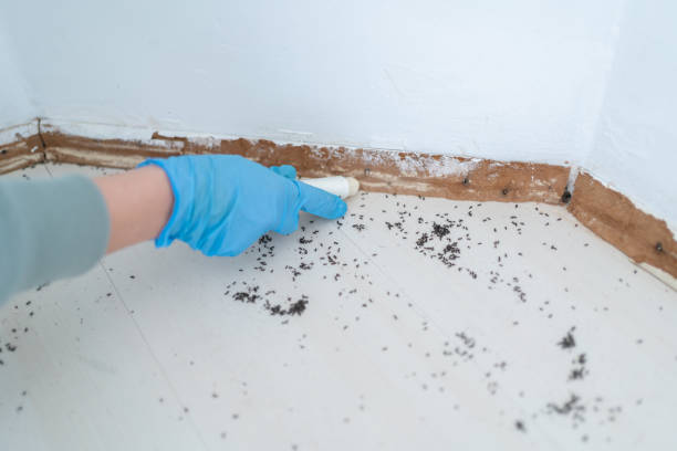 Best Wildlife Control Services  in Lexington Hills, CA
