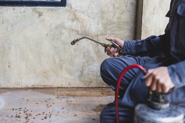 Pest Control for Restaurants in Lexington Hills, CA