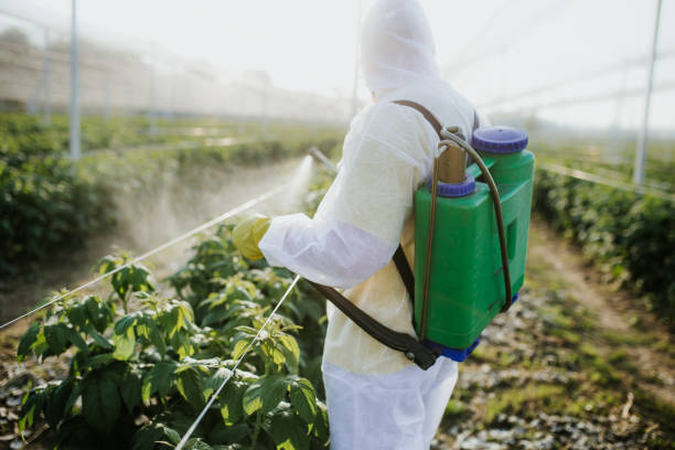 Trusted Lexington Hills, CA Pest Control Experts